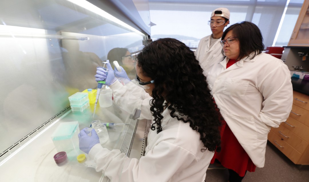 Dr. Lesley Chow and students in her lab