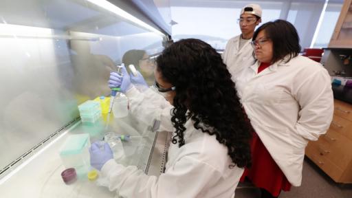 RARE student Sareena Karim '22, forefront, works in the Chow Lab led by Lesley Chow, assistant professor of bioengineering and materials science and engineering